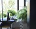 7 Plantas Perectas para tu Mesa de Oficina
